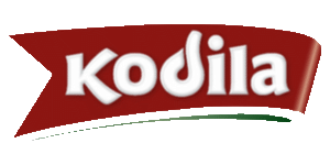 /f/docs/Files/kodila-logo.png