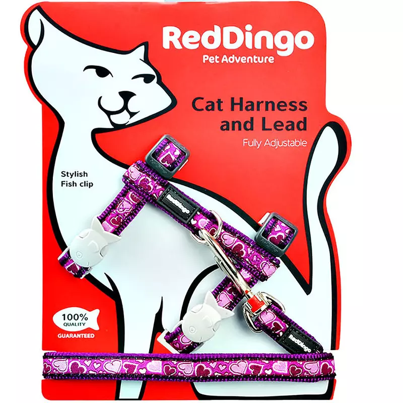 Red Dingo Cat KOMPLET Breezy Love VIJOLA